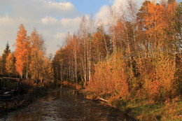 Goldener Herbst / ***