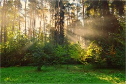 Licht / ***