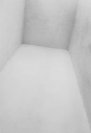 S t e r e o / ***