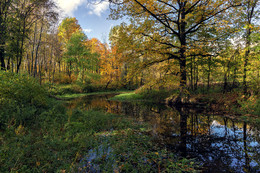 Herbst / ***