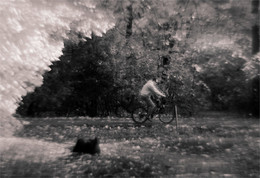  / Helios 44-2 (swirl)