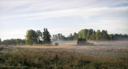Morgennebel / ***