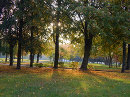 Herbstmorgen / ***
