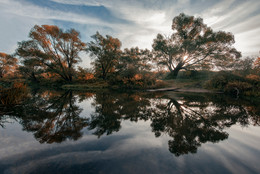 Bayou / ***