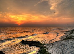 Fly away ... / ***