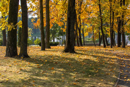 Sunny day. / ***