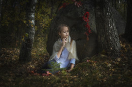 Im Wald / ***