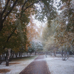 Der erste Schnee / ***