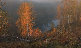 Herbst bonfire / ***