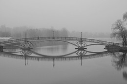 Nebel / ***