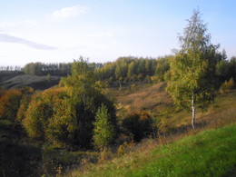 Herbst / ***