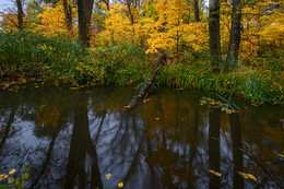 Herbst / ***