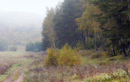 Autumn etude / ***