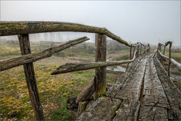 Brücke / ***