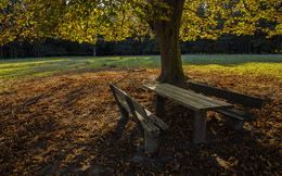RASTPLATZ / Ich war unterwegs im WILDPARK DÜLMEN. Nicht zu übersehen, der Herbst ist da.