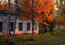 Herbst in der Stadt / ***