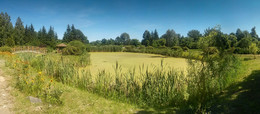 Schwimmbecken / ***