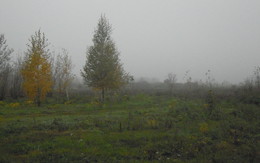 Nebel / ***