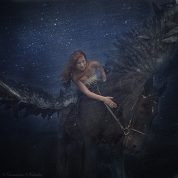 Pegasus / ***