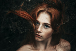Hoffe, / ***