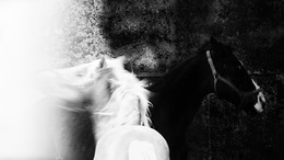 Die Braut / ***