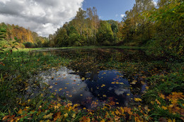 Herbst / ***