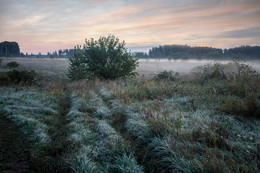 Am frühen Morgen / ***