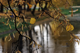 Herbststimmung ... / ***