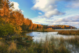 Forest Lake / ***