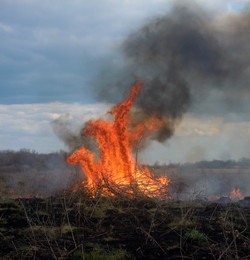 Flamme / ***