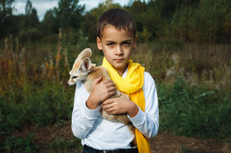 Le petit prince / ***