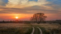 Herbst-Skizzen / ***
