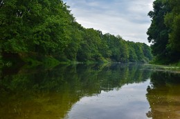 Fluss Gums / ***