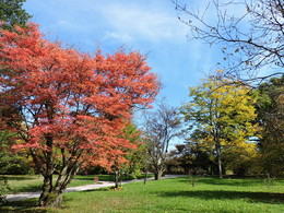  / Autumn in Munich