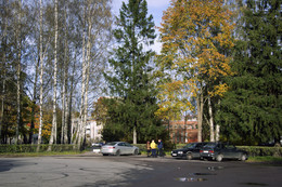 Herbst Färbung / ***