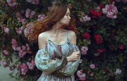 lady rose / ***