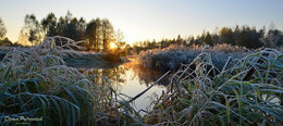 Morgen / ***