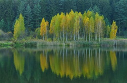 Herbst Färbung / ***