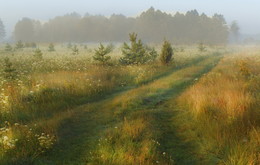 Augustmorgen / ***