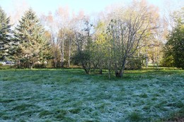 Herbst Färbung / ***