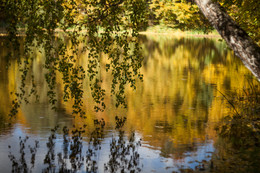 Herbst Färbung / ***