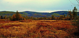 Herbst Färbung / ***