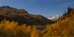 Herbst Färbung / ***