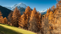 Herbst im Engadin / ---