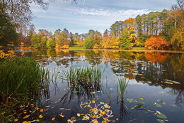 Herbst Färbung / ***