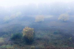 Herbst Färbung / .....