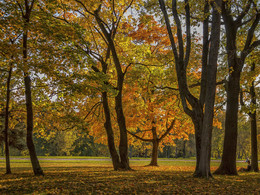 Herbst Färbung / ***