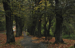 Herbst Färbung / ***