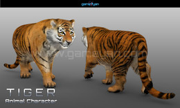 tigre modellazione carattere animale / noi avendo gioco indiano e studio di animazione 3D forniamo costo soluzione efficace in rispetto alle società l'arte di outsourcing in Cina e in studio in tutto il mondo.
