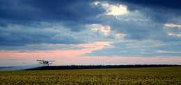 Abendflug / ***
